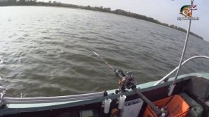 Рыбалка ТРОЛЛИНГОМ в Молчаново и всё о ТРОЛЛИНГЕ на Оби, часть 4. (08.09.2020)