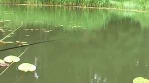 Рыбалка на реке Устья. Июль, 2011 г.