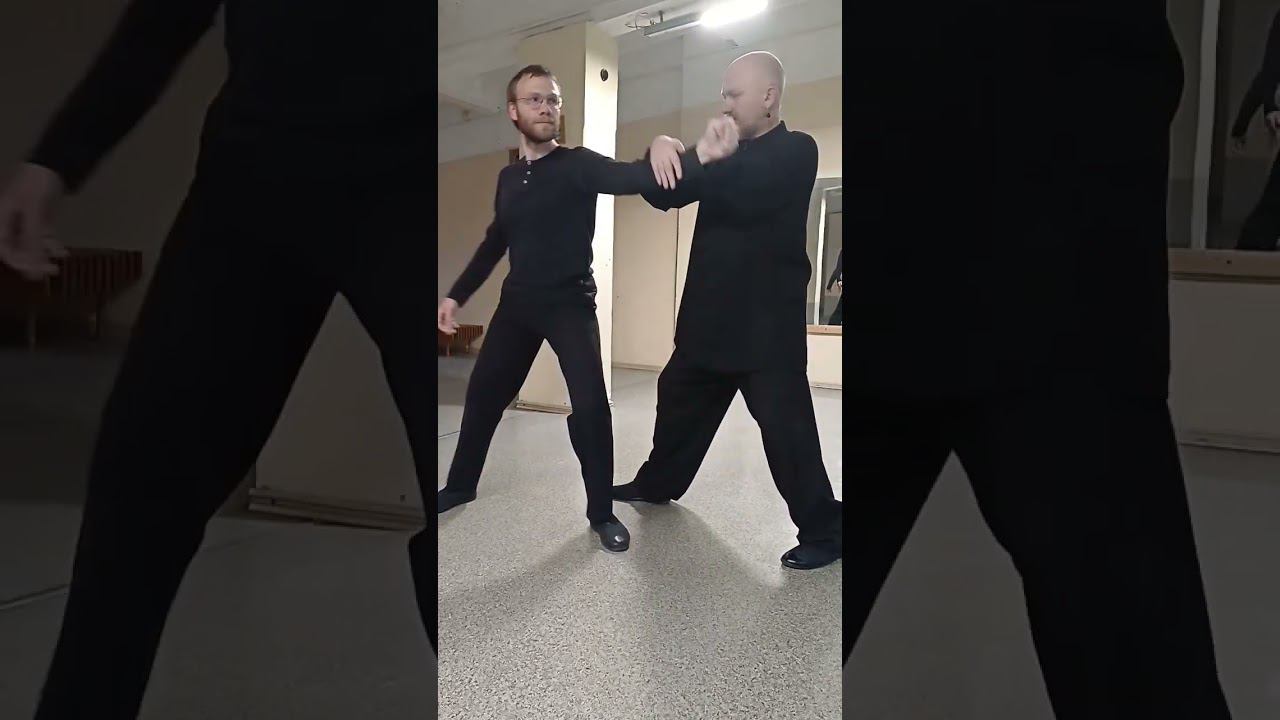 "Змея скользит в траве". Применение. Защита от удара в лицо #kungfu #даосскиепрактики #цигун #сшт