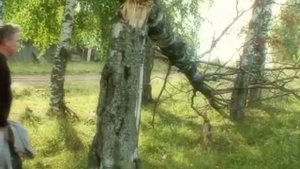 Геннадий Бекманов. АРГУРЕЗЬ.