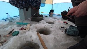 КЛЁВ НА ВЕРХНЕСАЛДИНСКОМ ВОДОХРАНИЛИЩЕ, ЛОВИМ БЕЛУЮ РЫБУ НА МОРМЫШКИ! РЫБАЛКА НА УРАЛЕ!