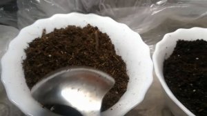 Торфа смеси или универсальный грунт.