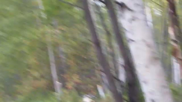 Шишига увязла в болоте смотреть онлайн