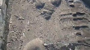 Гараж мягкая кровля