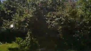 Поездка за Воронцовку, Воронцовка,Кыргызстан Пасека ч.1