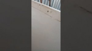 обзор на холодильник Свияга 404 в разобранном виде