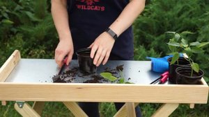 стол для рассады складной