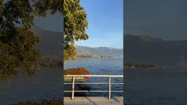 Beautiful Vevey in Switzerland #shorts #travel #vevey