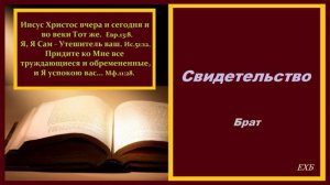Свидетельство.. (Брат)