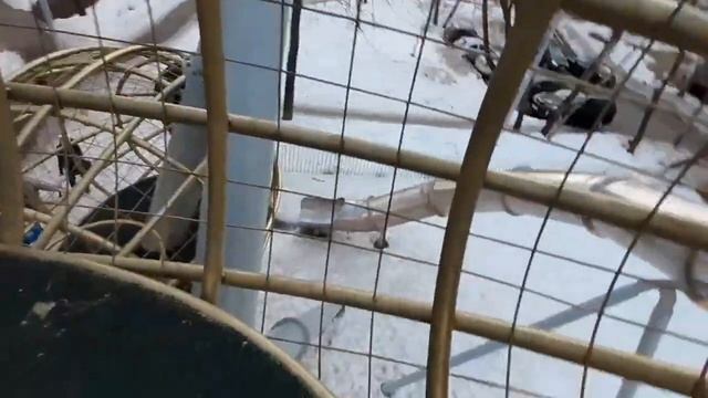 Детская площадка в Зюзино у метро Нахимовский проспект