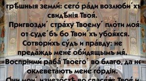 Псалом 118. Если читать ежедневно, можно вымолить свой род. Это наш духовный капитал.