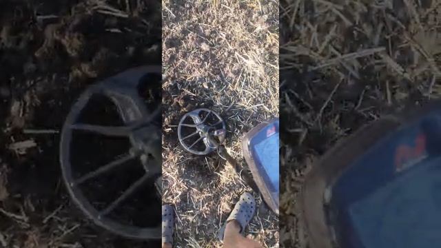 Коп с эквинокс 800 #коп #находкисметаллоискателем #поиски