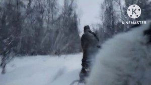 СНЕГ/МИТЕЛЬ/БУРАН/СОБАКИ/ЛОШАДИ/ВСЕ/МЕСТИ.