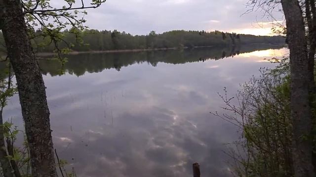 Приехал на таинственное озеро Каменное в Бежаницкий район Псковской области 20.05.17 смотреть онлайн