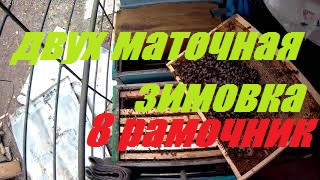 Двухматочная  зимовка пчелосемей в  8 рамочном улье.Пчеловодство начинающим.