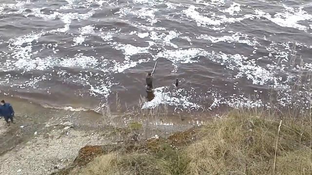 ГЭС Волхов, ловля корюшки
