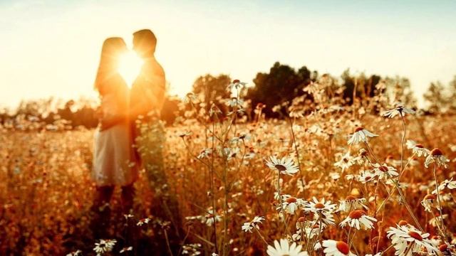 От противоположностей к целостности. смотреть онлайн