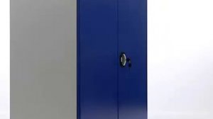 Шкафы инструментальные TC-1095