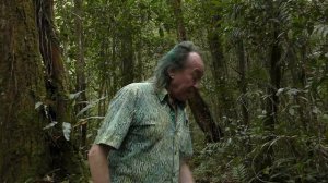 FIELD TRIP WITH PATRICK BLANC, MOUNT KINABALU, BORNEO