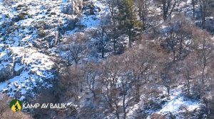 KARDA MACERA DOLU YABAN DOMUZU AVI- WILD BOAR HUNTING IN WINTER, DOMUZ AVI, HOG HUNTING, PIG,  GAME