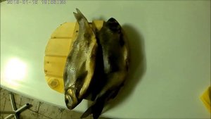 засолка язя сухим посолом