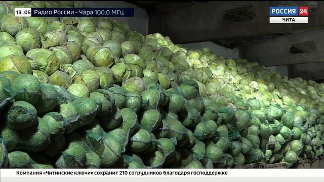 Путь картофеля: как сортируют и хранят урожай овощей в Забайкалье смотреть онлайн