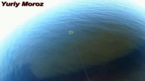 Ловля раков на раколовки. Наживка для раков. Где ловить раков