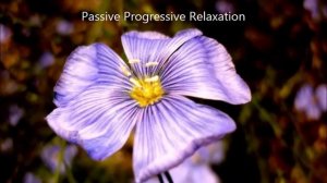 Passive Progressive Relaxation