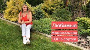 Самые низкие можжевельники для клумб и композиций | Топ 5 сортов