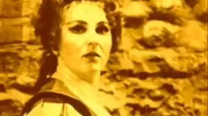 Чайковский-Соловушка в дубровушке-Гена Димитрова