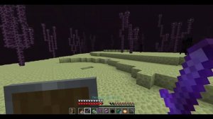 КАК МНЕ НАЙТИ КРЫЛЬЯ В МАЙНКРАФТ | ВЫЖИВАНИЕ МАЙНКРАФТ