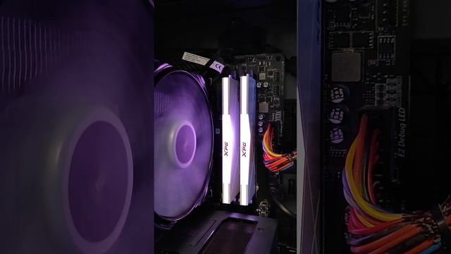 ADATA XPG SPECTRIX D50 RGB демонстрация подсветки смотреть онлайн