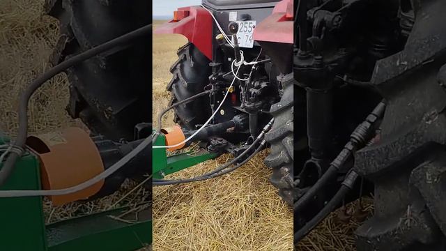 29 ноября 2022 г. смотреть онлайн