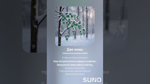 Две зимы (1)