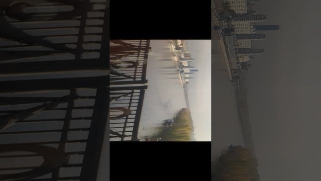 Смотреть видео онлайн