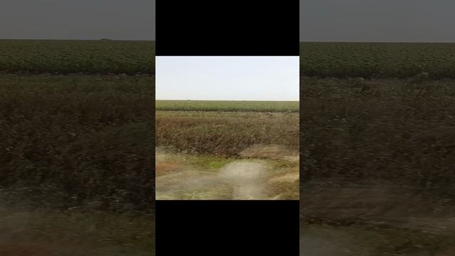 Привет! Меня зовут Егор. Приехал на Rutube