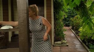 Самый эффективный метод борьбы с хлорозом