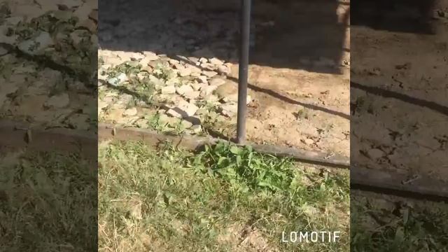 Хаски мелисса смотреть онлайн