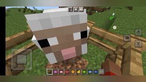 радужная овца в Minecraft