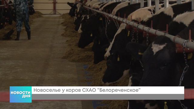 Открытие фермы смотреть онлайн