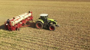 Прямой посев по кукурузе