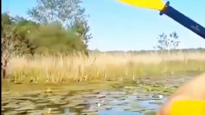 Как сейчас живет Бурак Озчивит со своей семьей.