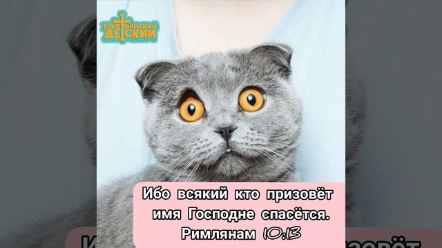 Учите стихи из Библии вместе с пушистиками ???#библиядлядетей#мультик#дети#развивающиймультик