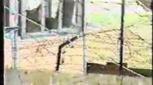 Чернила для пятого класса - Ещё пол года 1995