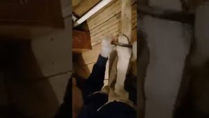 Выделка мездры с оленьих камусов