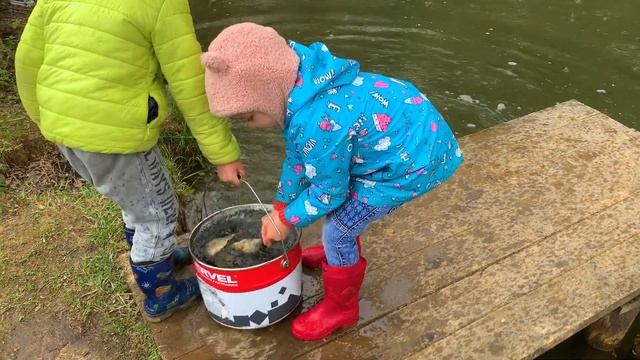 Жабий пруд | Зарыбить рыбой | Дача 2020 на самоизоляции смотреть онлайн