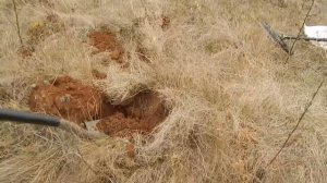 Нашёл свалку забитую металлоломом. Коп металлолома