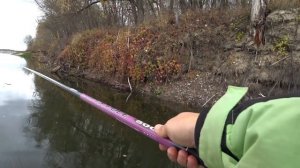 Рыбалка на Поплавок. Голавль и Краснопёрка на Реке