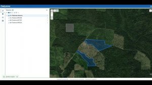 Delyana. Создание делян на карте