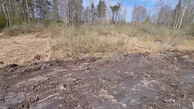 Сажаю газон около Пруда! Лето 2022 смотреть онлайн